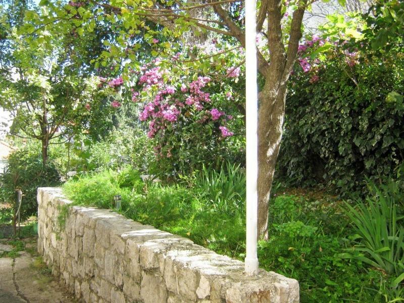 Apartment Ivica
